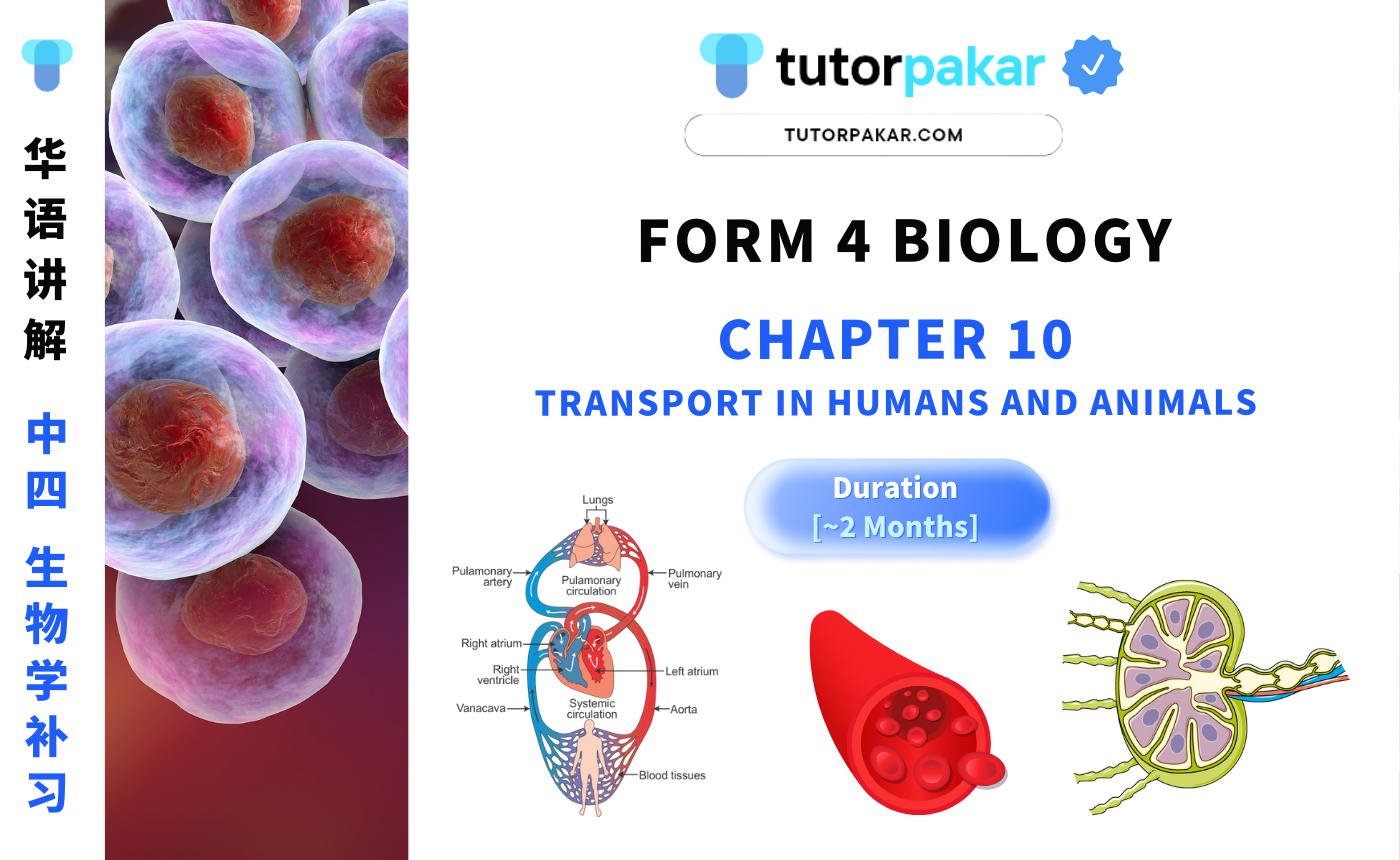 Form 4 Biology Chapter 10 | 中四 生物学 【单元十】