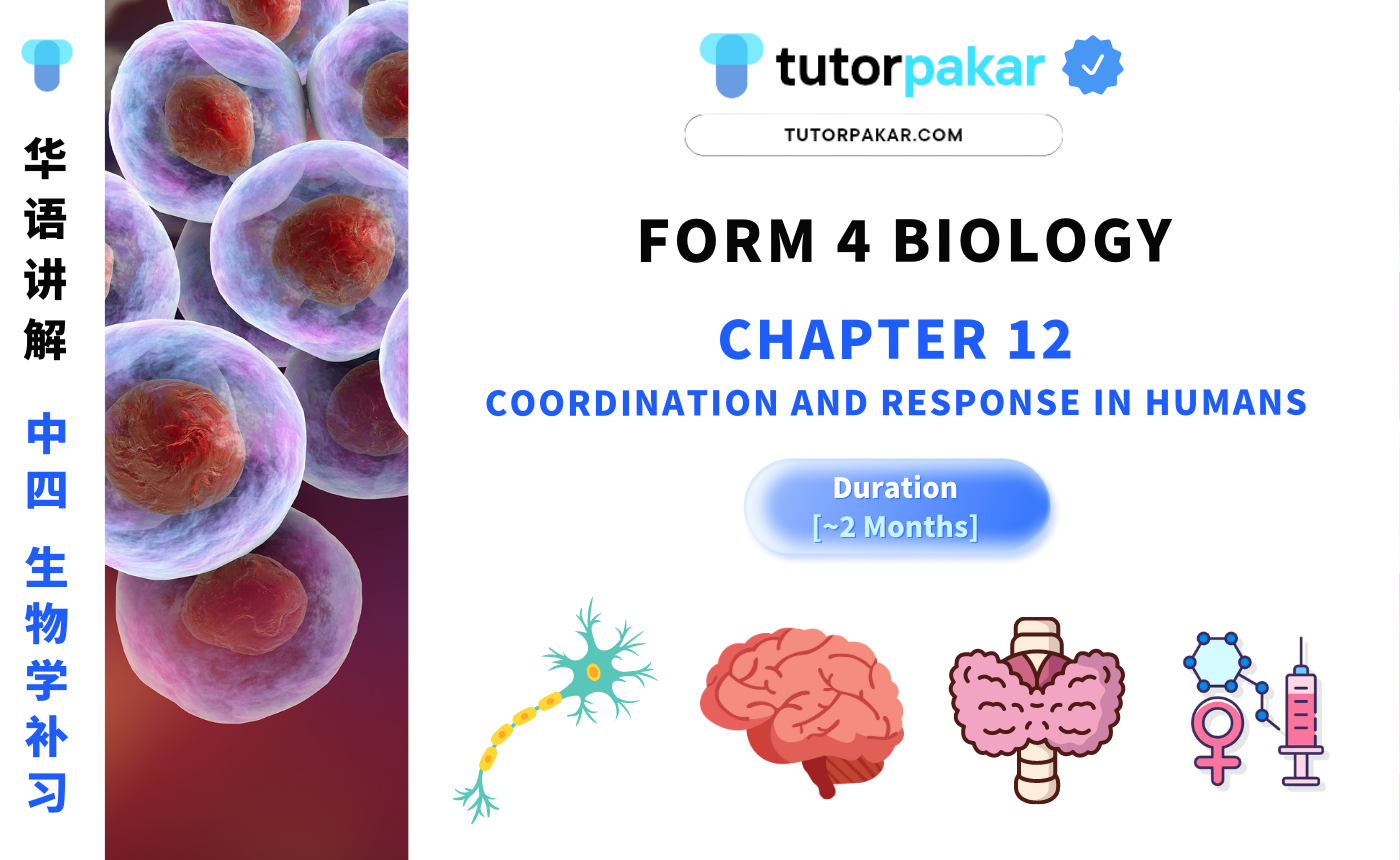Form 4 Biology Chapter 12 | 中四 生物学 【单元十二】