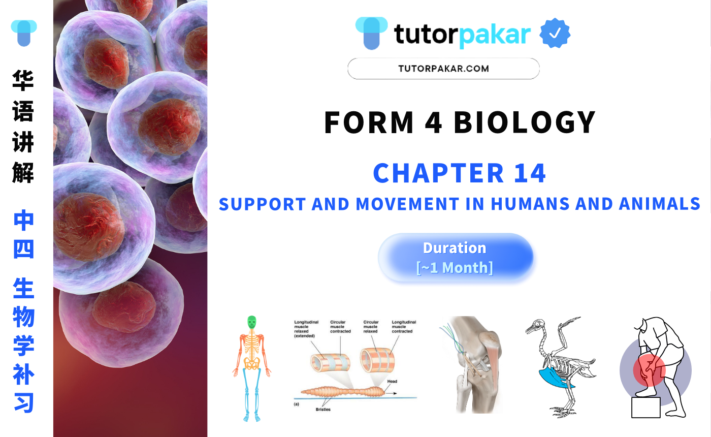 Form 4 Biology Chapter 14 | 中四 生物学 【单元十四】