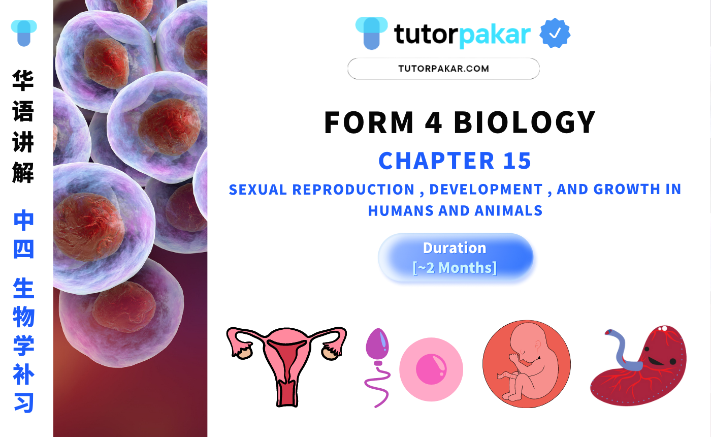 Form 4 Biology Chapter 15 | 中四 生物学 【单元十五】